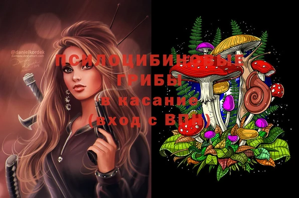 ГАЛЛЮЦИНОГЕННЫЕ ГРИБЫ Верхний Тагил