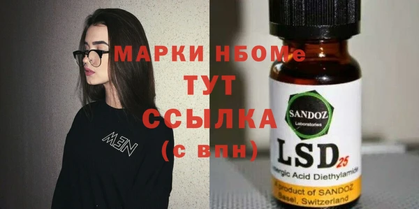 гашик Верея
