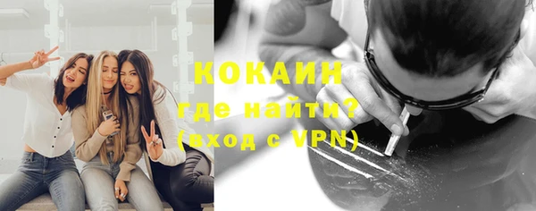 гашик Верея