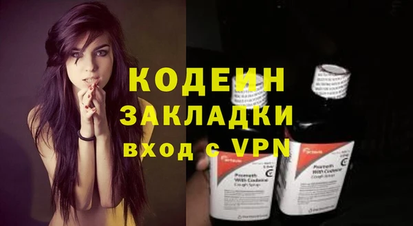 гашик Верея
