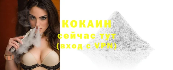 гашик Верея