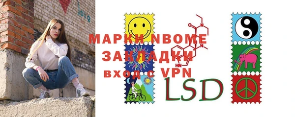 гашик Верея