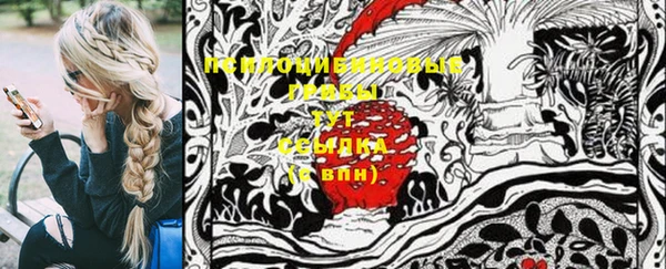 ГАЛЛЮЦИНОГЕННЫЕ ГРИБЫ Верхний Тагил