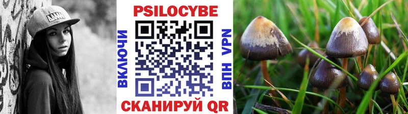 блэк спрут ССЫЛКА  Мончегорск  Галлюциногенные грибы Psilocybe 
